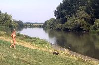 2019-08-07 09.19.08-0.jpg